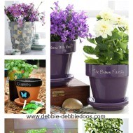 10 Simple garden pot ideas