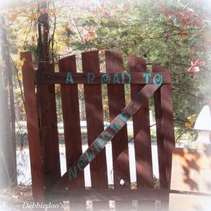Recycled garden gate