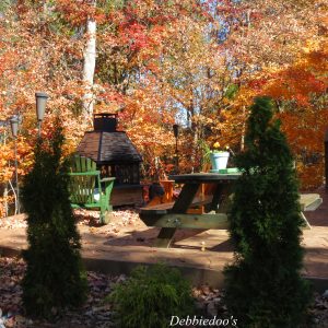 Carolina rustic backyard