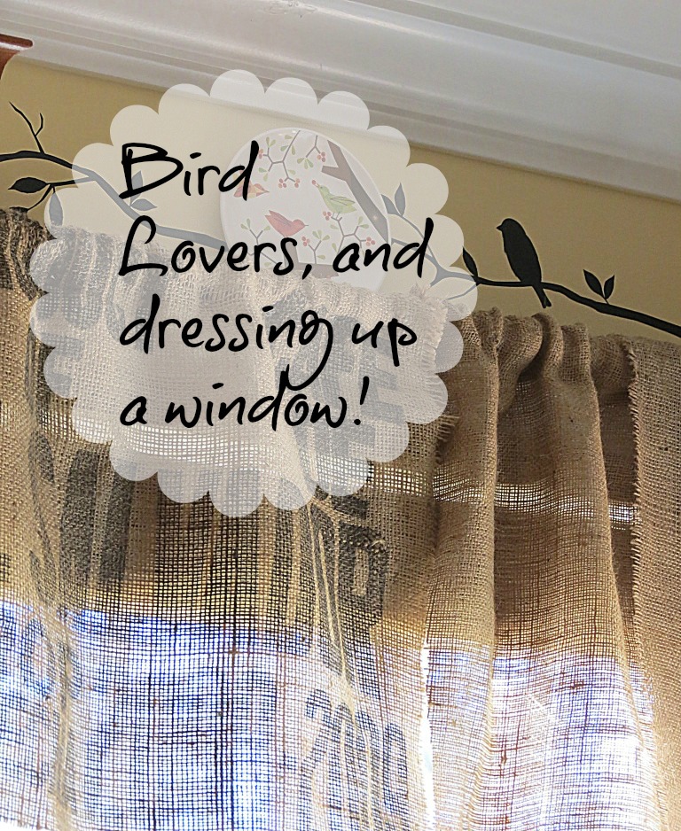 birds
