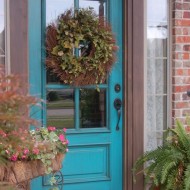 Beyond-the-Screen-Door-Turquoise-Door