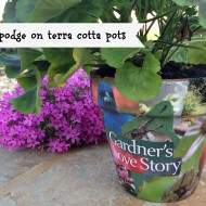 mod podge on terra cotta pots