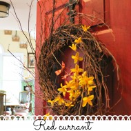 red currant rustic pantry door
