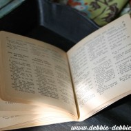 French tray 001