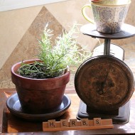 Summer herb pots with rit dye