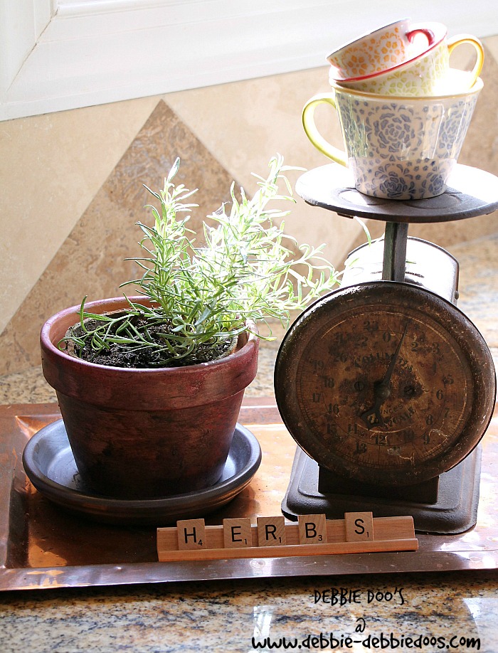 How to make summer herb terra cotta pots Debbiedoo's