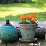 outdoor garden 007