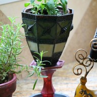 light sconce herb pot 019